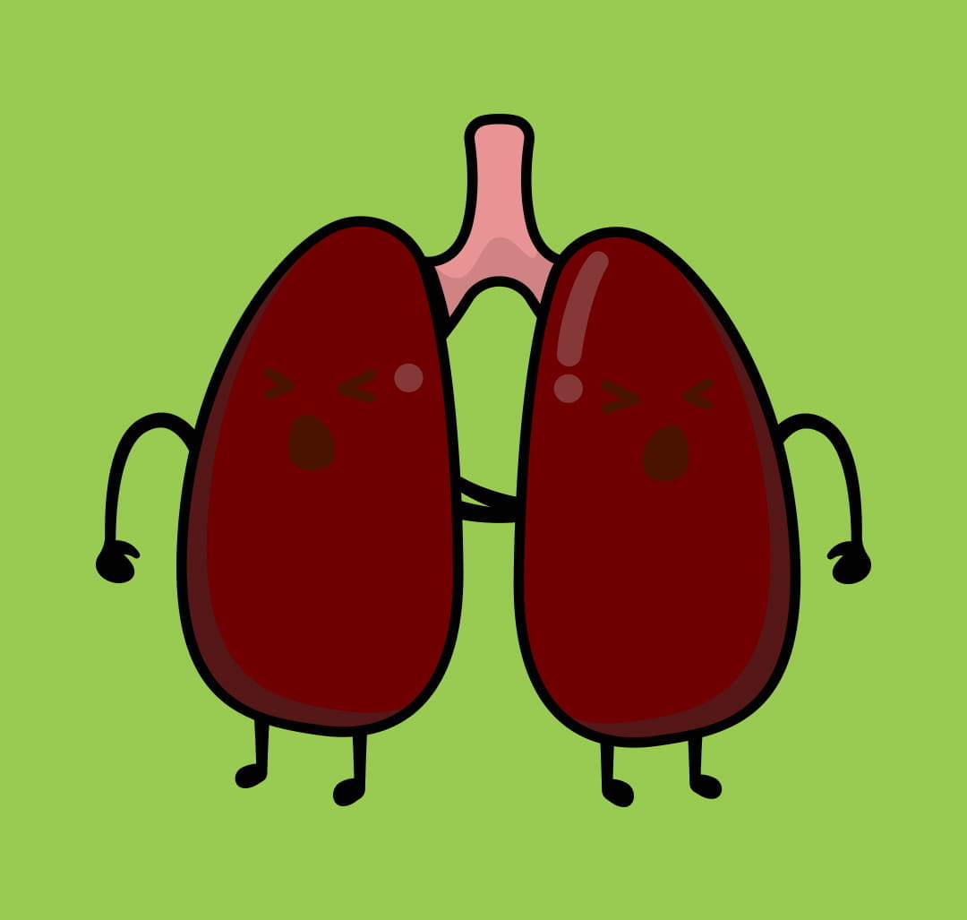 Healthy lungs vs Smokers lungs